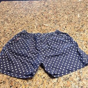 Chubbies Blue Star Pattern Men's Shorts